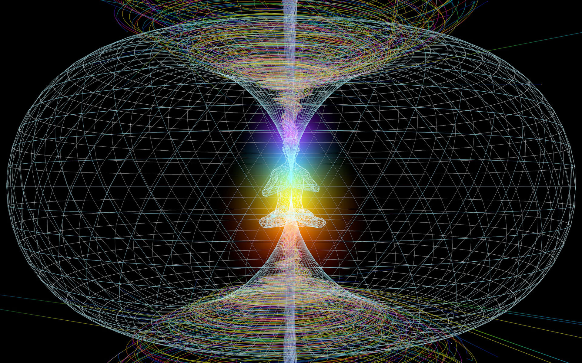Human Torus