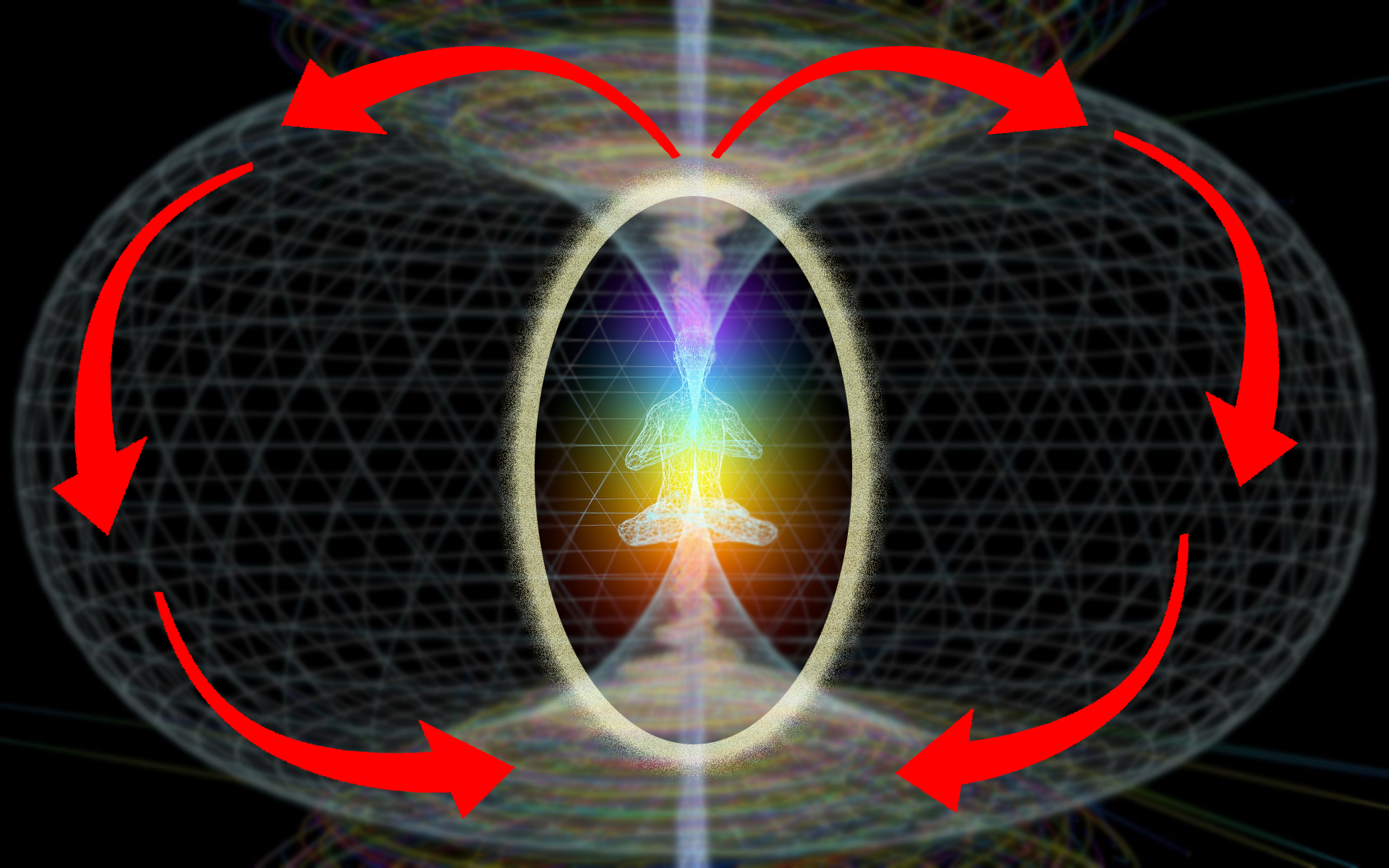 Human Torus