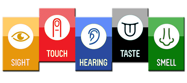 ALL Senses