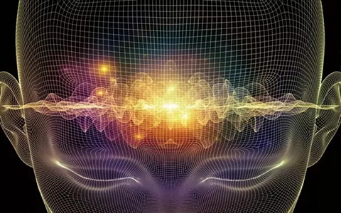 Pineal Beats Enlightened Brain