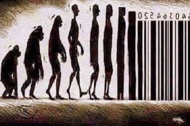 Evolve Old You