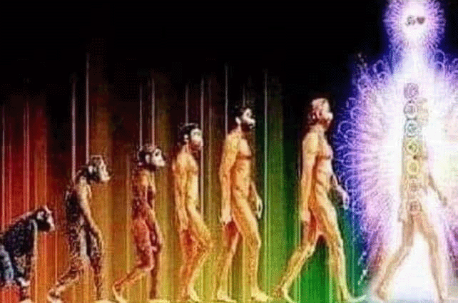 Evolve New You