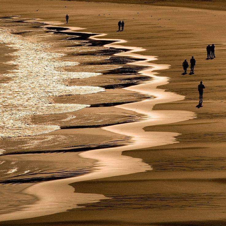 Nature Cycles