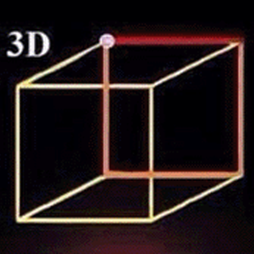 3D