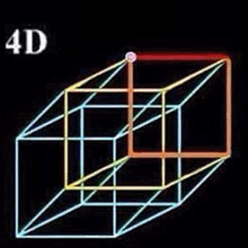 4D