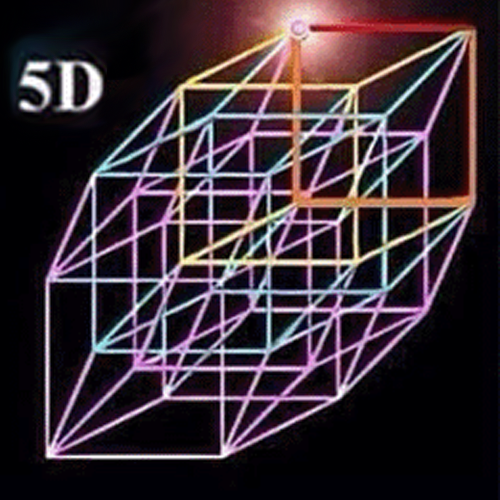 5D