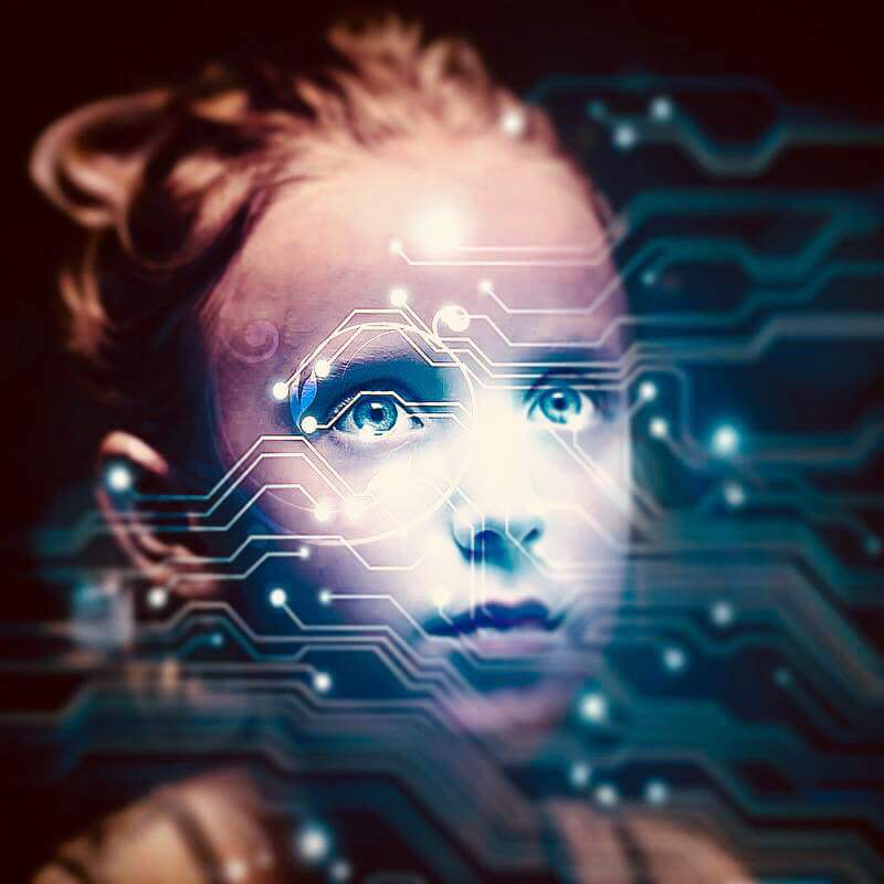 Rewired Brain