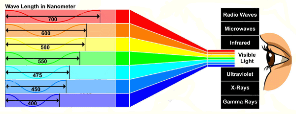 See Color