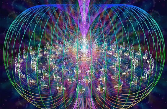 Torus Human