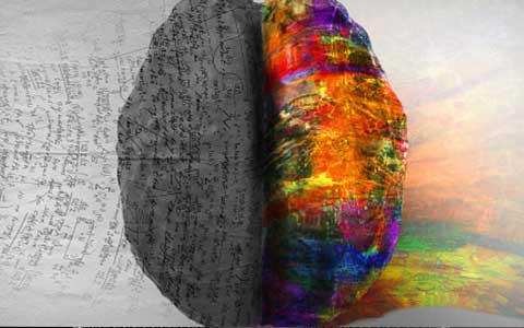 Wired Brain